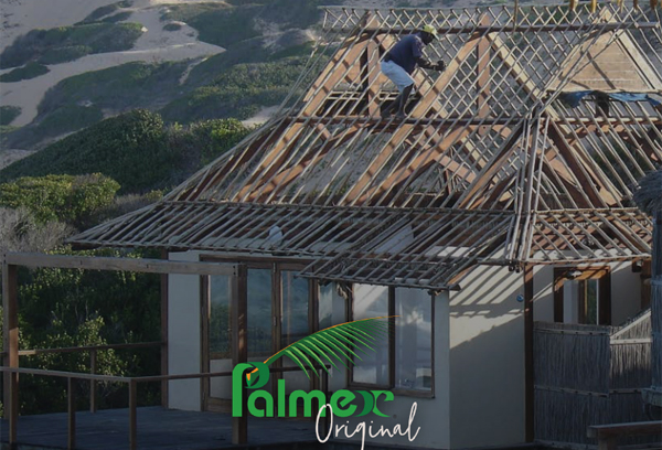 Exclusive partner - Palmex